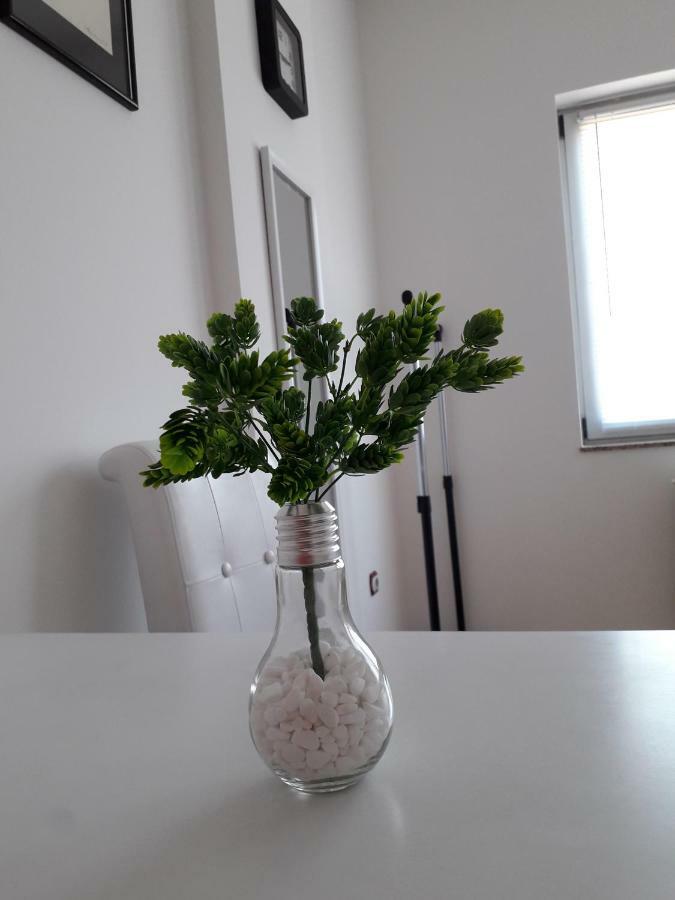 Apartman Dunja Ns 2 Νόβι Σαντ Εξωτερικό φωτογραφία
